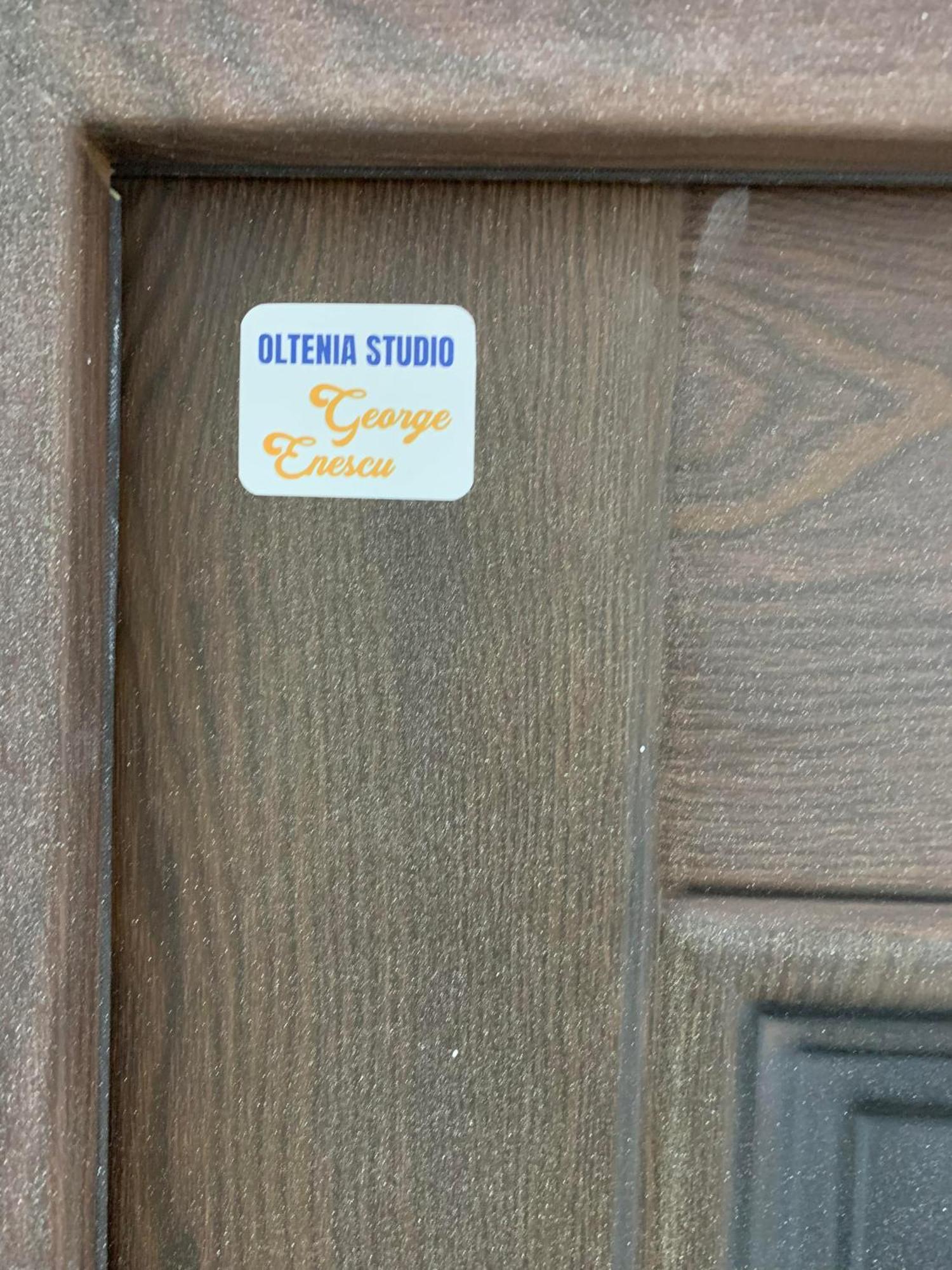 Oltenia Studio George Enescu クラヨーヴァ エクステリア 写真